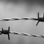 barbed-wire-1269430_1920