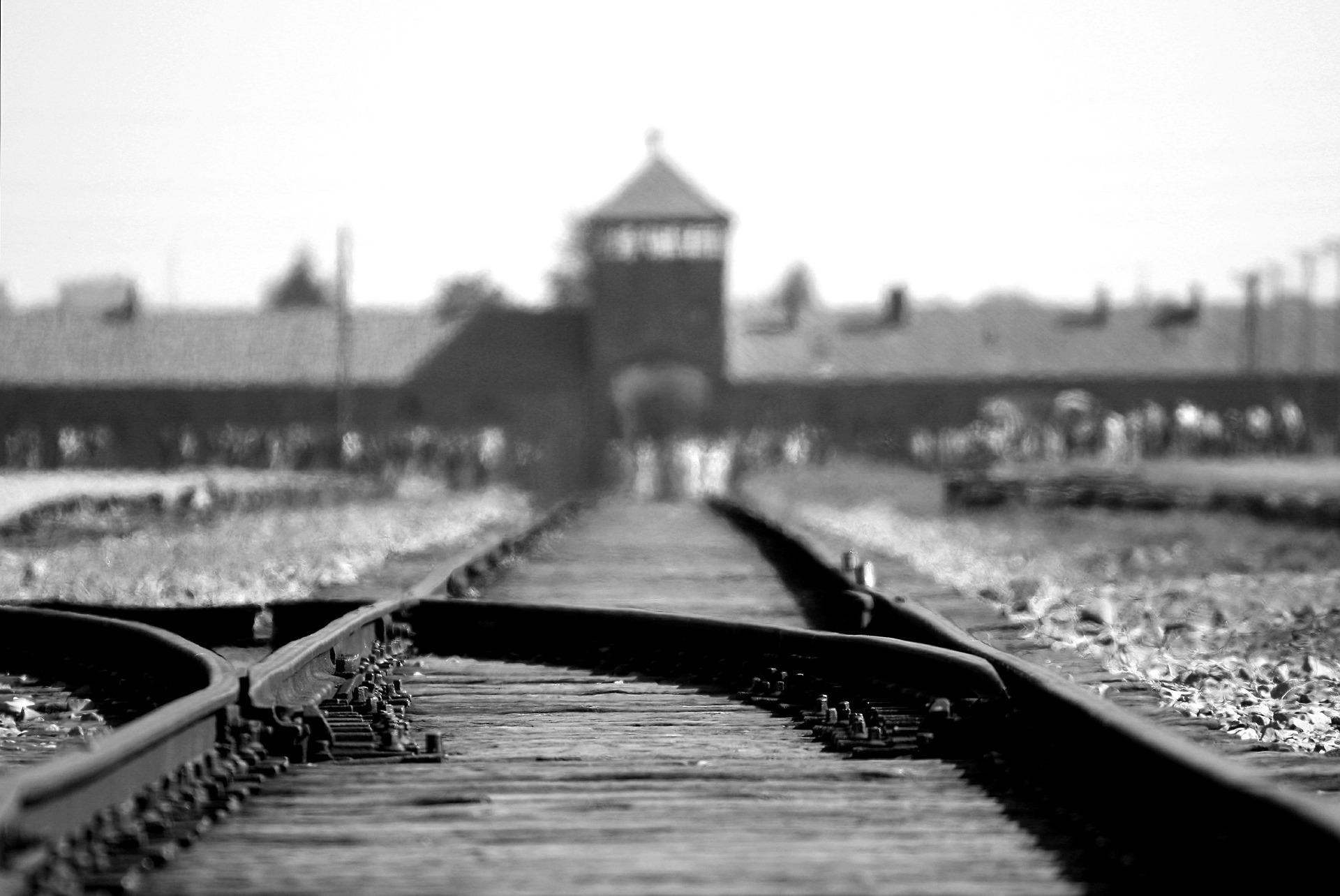 Auschwitz - Birkenau and Salt Mine in One Day - Krakowfy Private Tours and Transfers