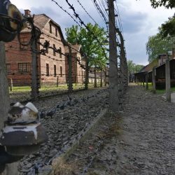 Auschwitz Birkenau (1)