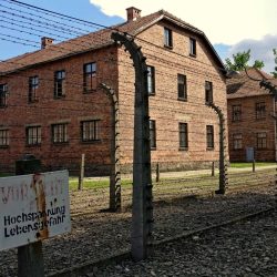 Auschwitz Birkenau (3)