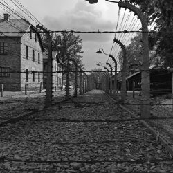 Auschwitz Birkenau barbed wire fence