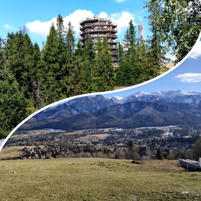 zakopane and treetop walk